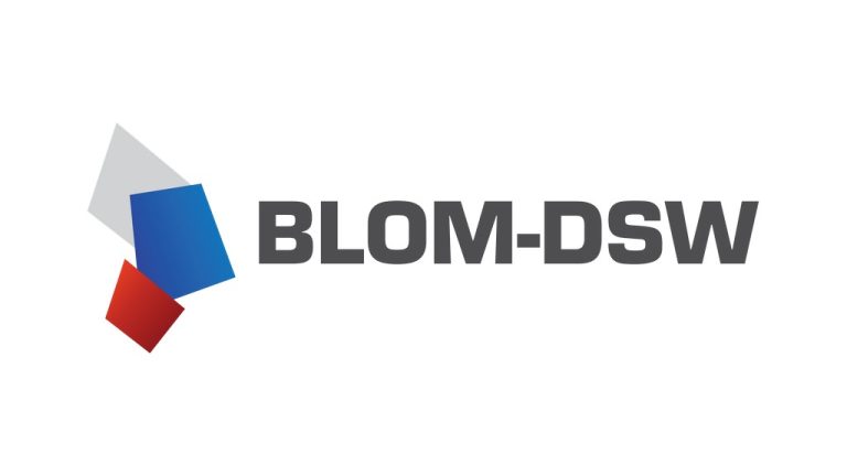 logo-BLOM-DSW-2014-BITMAP-XXL